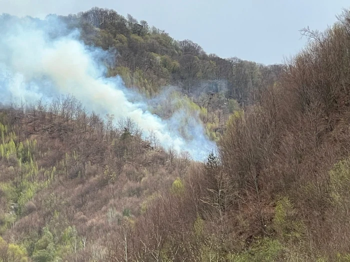 Incendiu masiv, pe 3 hectare de pădure. FOTO: ISU Argeş