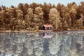 Finlanda jpeg