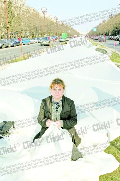 Trena a fost întinsă deasupra fântânilor, din Piaţa Unirii, până în Piaţa Constituţiei