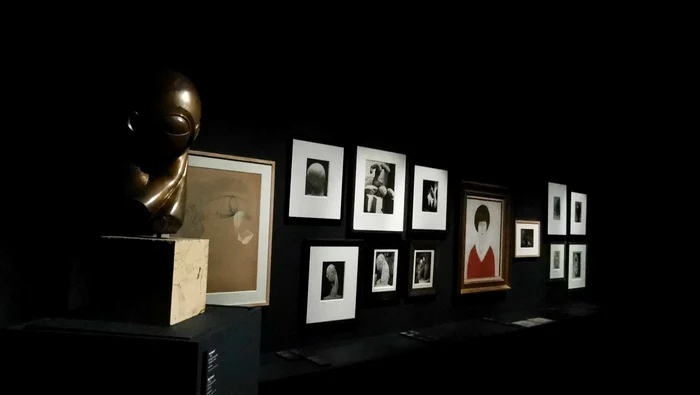Expo Brâncuși la Timișoara FOTO Ștefan Both