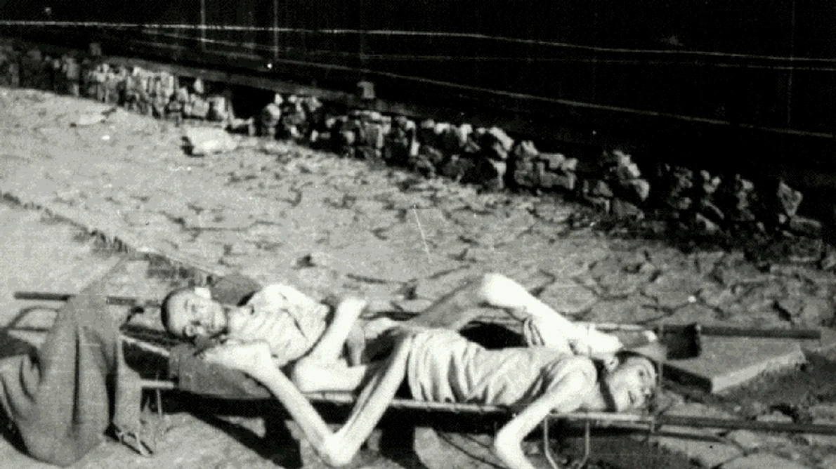 Holocaustul şi Gulagul barbariile secolului XX gif