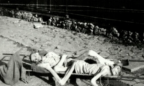 Holocaustul şi Gulagul   barbariile secolului XX gif