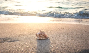 seth0s beach 4301479 jpg