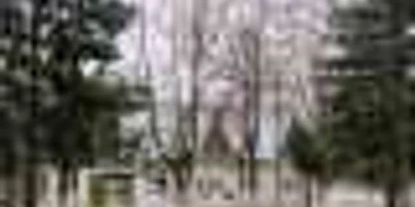 Tabăra de  la Arbănaşi ar putea deveni un centru pentru tinerii cu dizabilităţi
