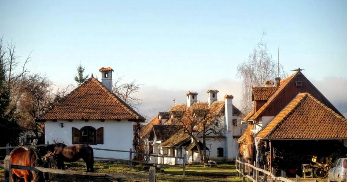conace cluj Pensiunile Kálnoky