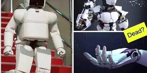 robot sinucigas, captură video jpg