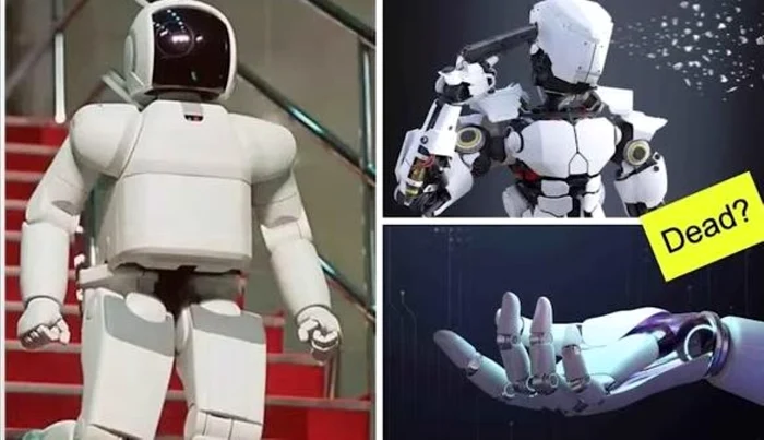 Există tendinţa de a le atribui sentimente roboţilor lucrători. FOTO: captură video