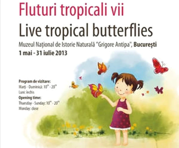Minciuni de vară, Fluturi tropicali jpeg