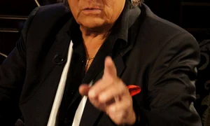 florin piersic jpeg