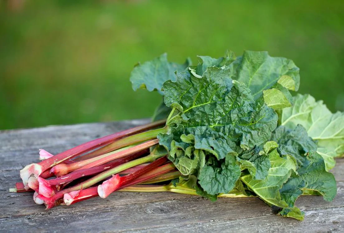
    În rubarbă se găsesc licopen şi antocianine, antioxidanţi foarte puternici @shutterstockclickpentrufemei.ro  