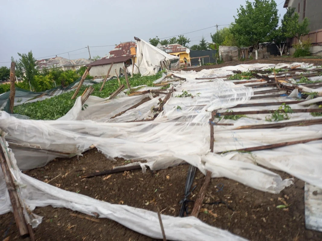 Solarii doborâte de furtună Foto: Fii informat Umbrărești