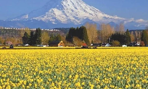 Top zece frumuseţi rurale ale României jpeg