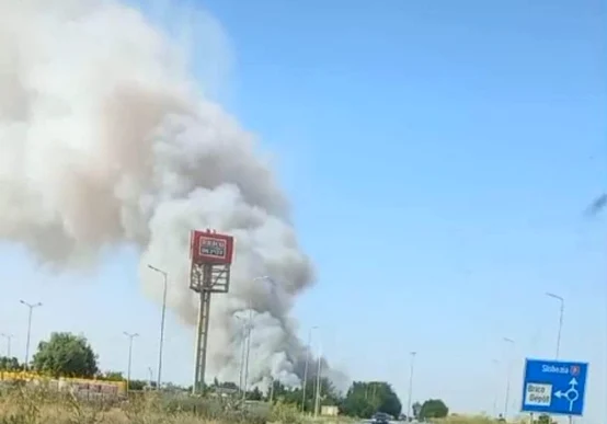 Incendiu vegetatie Călărași - Foto Facebook Meteoplus
