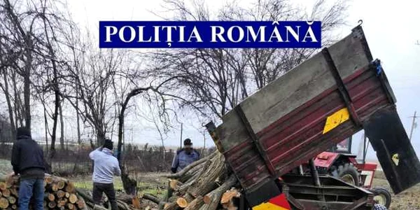 slobozia lemne