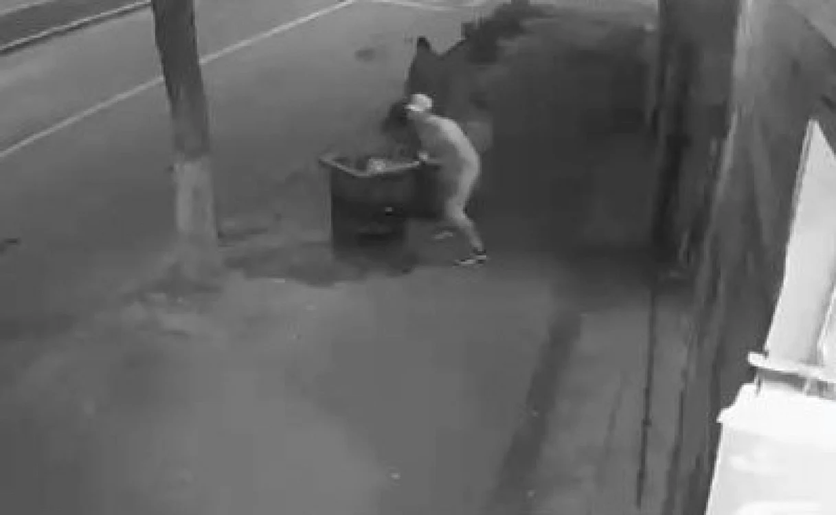 Captură VIDEO