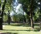 parcul municipal 16