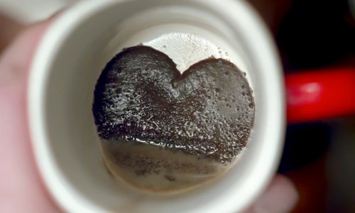 1 shutterstock 495242917 jpg jpeg