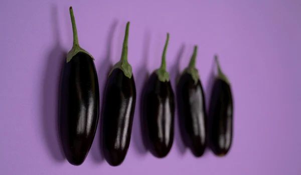 Vinete, Pexels (3) jpg