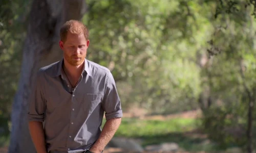 1 profimedia 0612037849 jpg jpeg