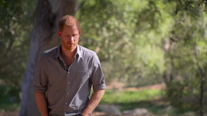 1 profimedia 0612037849 jpg jpeg