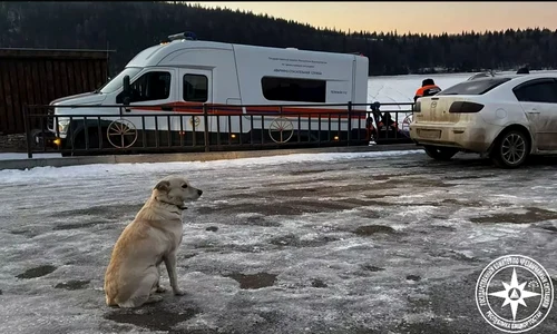 caine belka stapan mort rusia jpg
