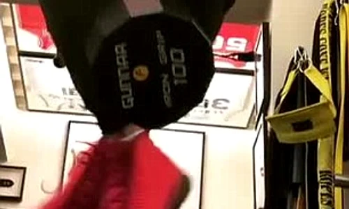 sylvester stallone jpeg