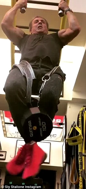 sylvester stallone jpeg