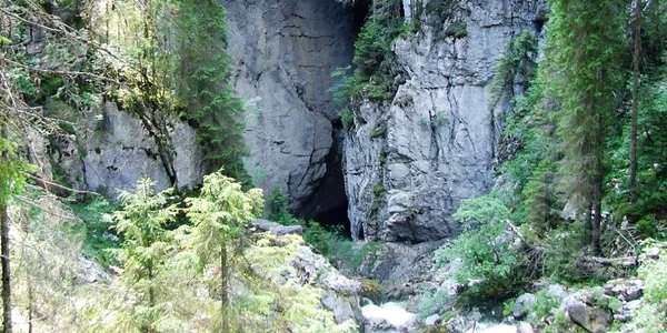 pesteri padis