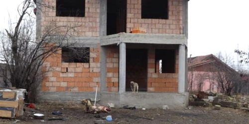 femeie ucisa de pitbull la turnu severin FOTO Corina Macavei