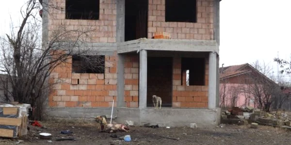 femeie ucisa de pitbull la turnu severin FOTO Corina Macavei
