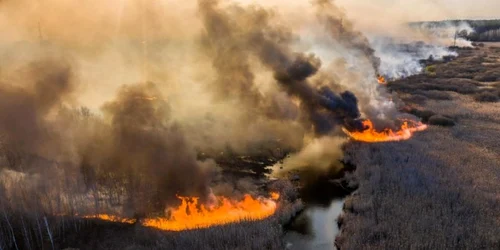 incendiu cernobil