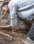 Două schelete ale unor ecvide, descoperite în brutăria complexului Casti Amanti (© Facebook / Pompeii - Parco Archeologico)