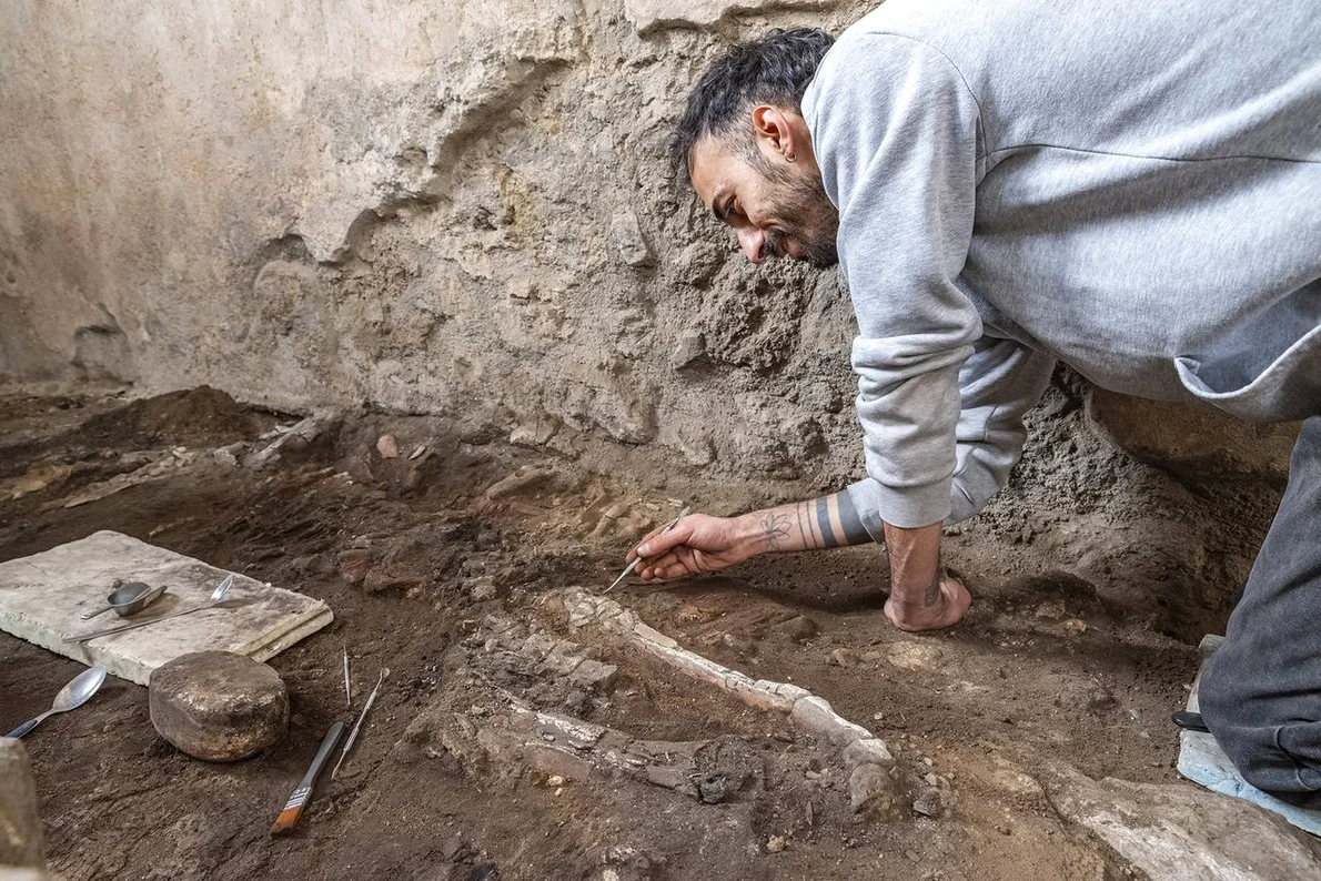 Două schelete ale unor ecvide, descoperite în brutăria complexului Casti Amanti (© Facebook / Pompeii - Parco Archeologico)