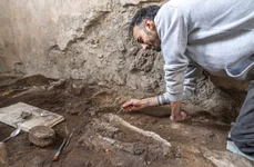 Două schelete ale unor ecvide, descoperite în brutăria complexului Casti Amanti (© Facebook / Pompeii - Parco Archeologico)