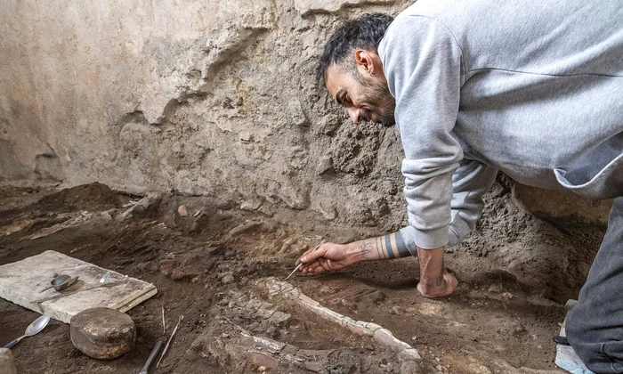 Două schelete ale unor ecvide, descoperite în brutăria complexului Casti Amanti (© Facebook / Pompeii - Parco Archeologico)