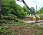Inundatii pe Valea Zlastiului din Hunedoara Foto Daniel Guță ADEVĂRUL (13) jpg