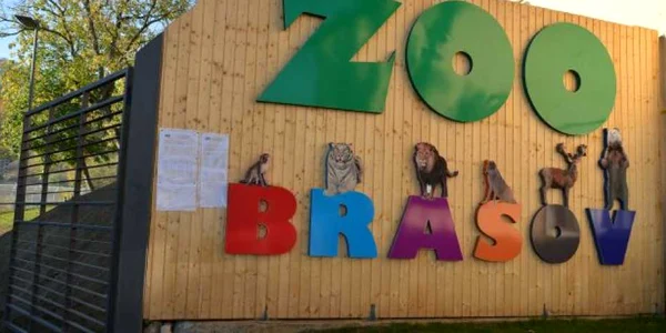 zoo brasov