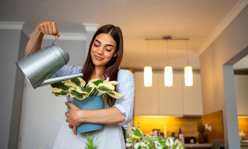 Pierderea timpului are efecte benefice  Sursa foto shutterstock 1829531144 jpg