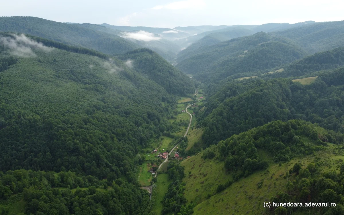 Un drum forestier leagă satul Runcu de comuna Cerbăl. Foto: Daniel Guță ADEVĂRUL