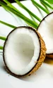 ulei de nuca de cocos jpeg