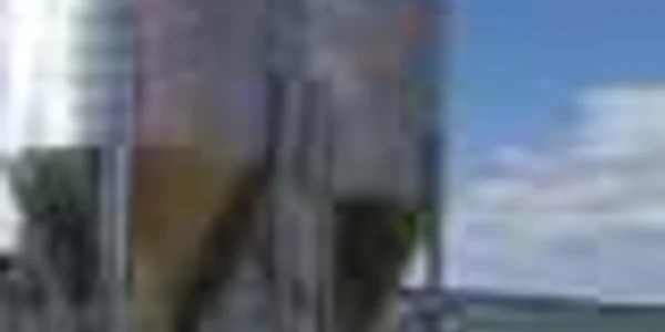 Seminţele din siloz, gaj pentru credite