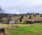 Ghimeș Făget FOTO Mircea Albu (4) jfif