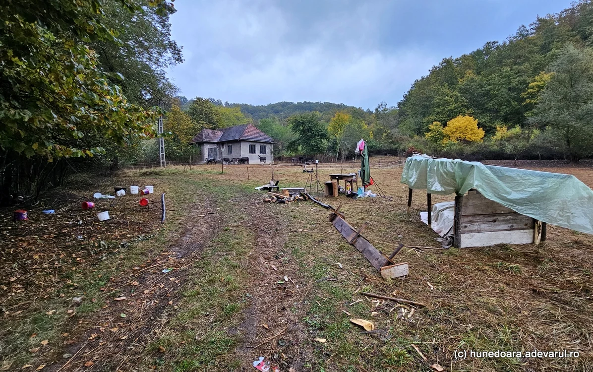 Satul Gialacuta, loc de pășunat. Foto: Daniel Guță. ADEVĂRUL