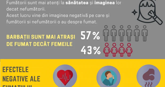 info fumat reveal research 2020 studiu 1