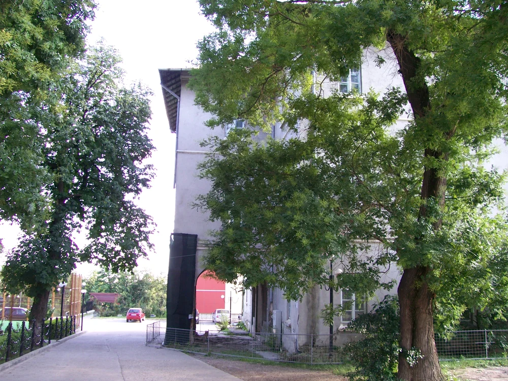 Casa Canano din Iaşi   spaţiu academic pentru şobolani jpeg