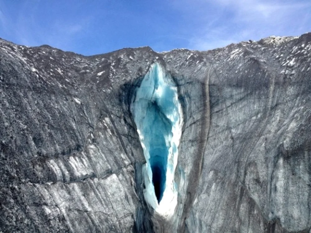 În această poză sunt doar trei purceluși murdariFoto: buzzfeed.com