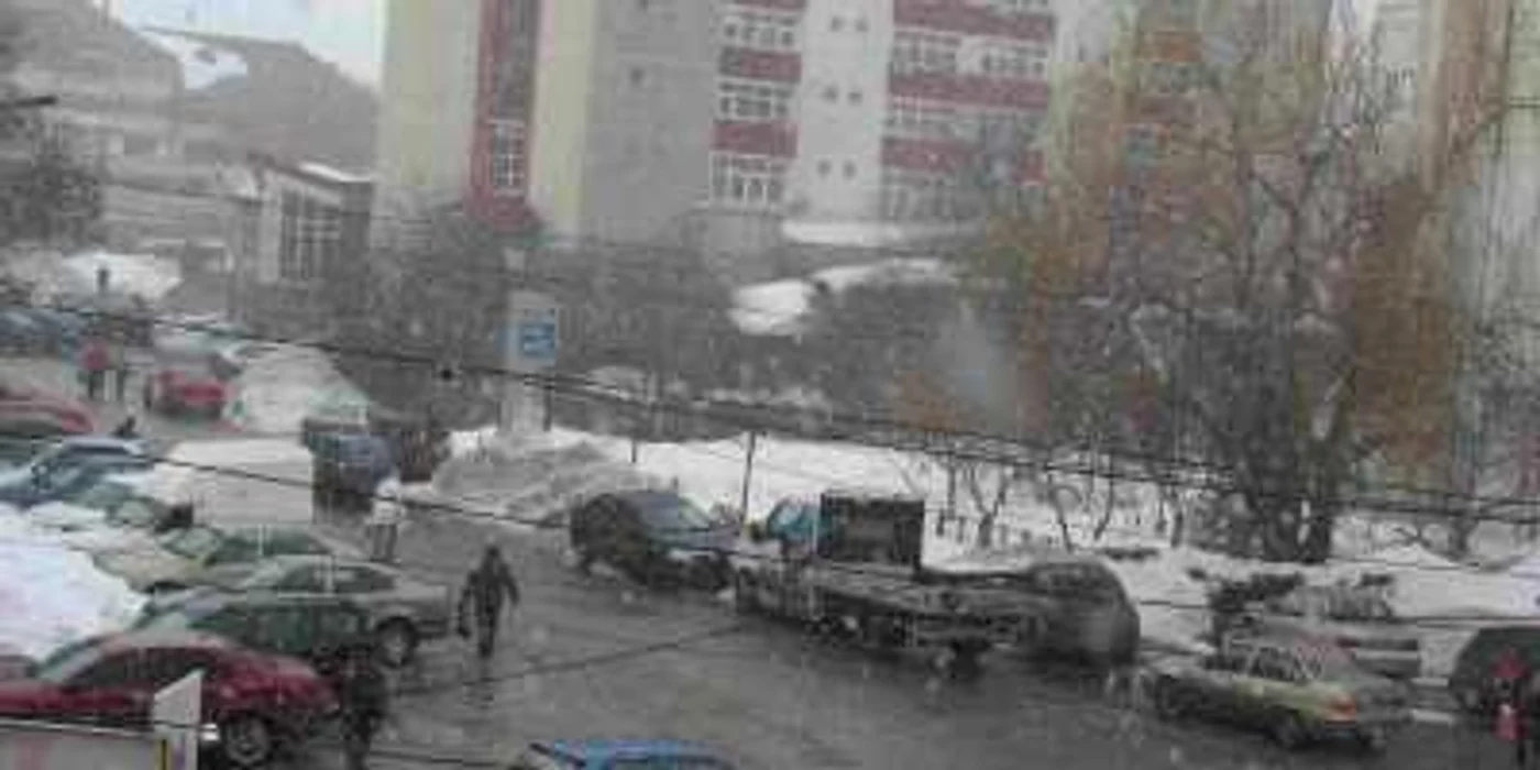 Ninsoarea nu are putere să se depună