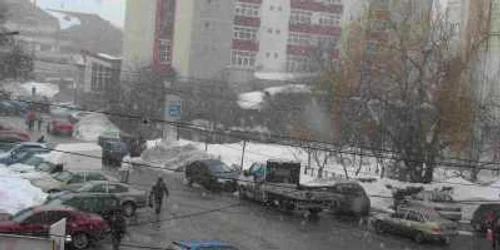 Ninsoarea nu are putere să se depună