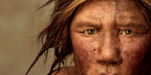 oameni primitivi neanderthal