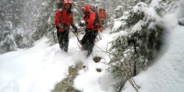 sorin sanda avalansa